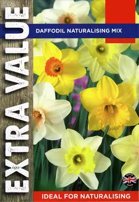 Daffodil Naturalising Mix Extra Value