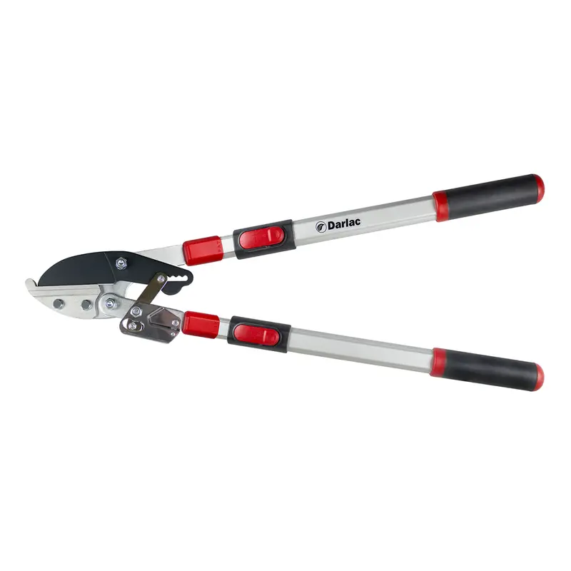 Darlac Telescopic Ratchet Lopper