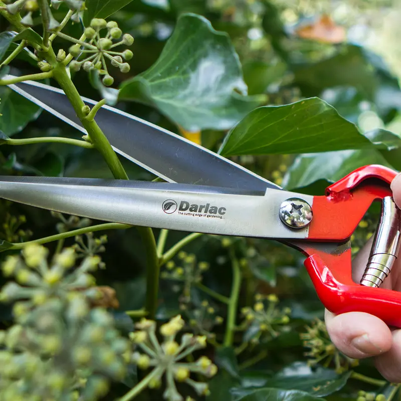 Darlac Perennial Shears - image 2