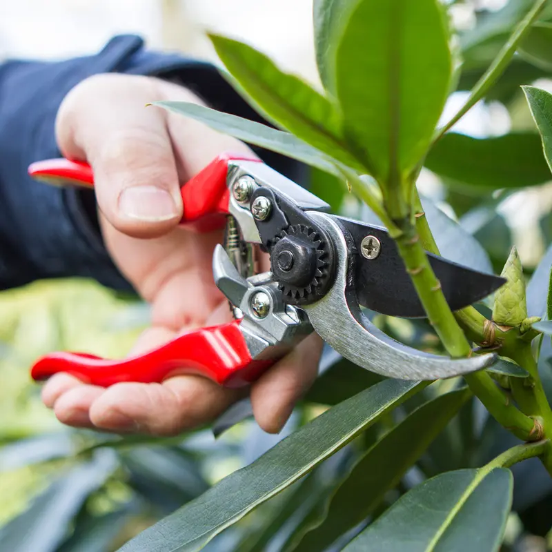 Darlac Professional Left-Handed Pruner - image 2