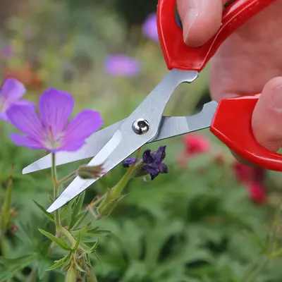 Darlac Softies Scissors - image 2