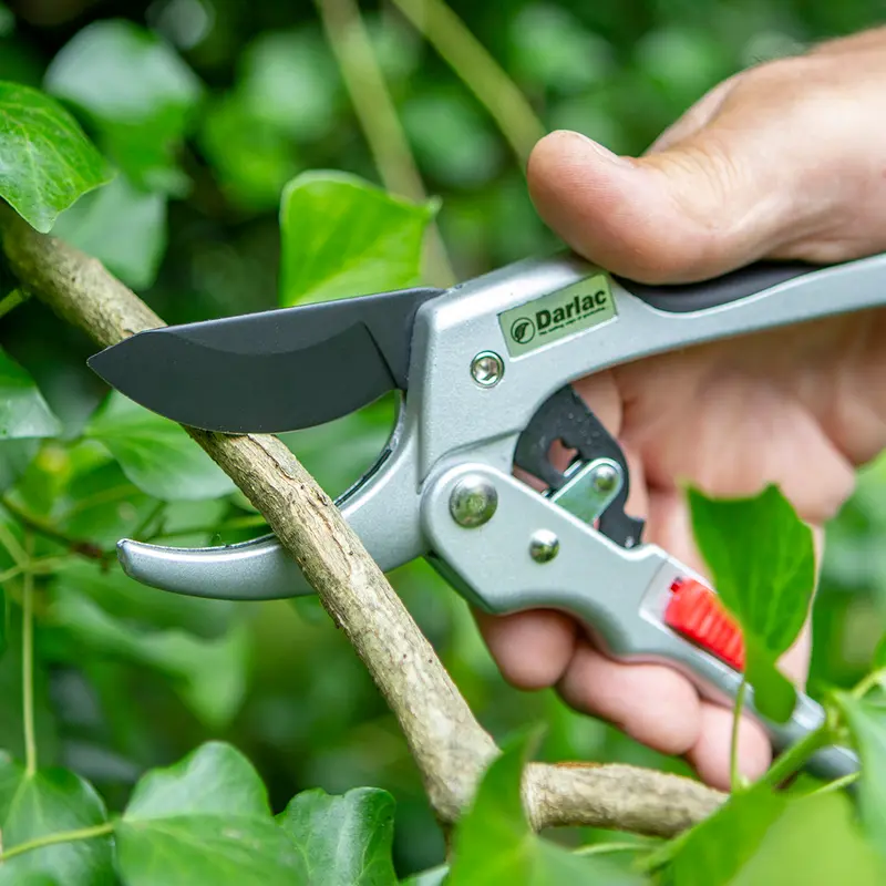 Darlac Super Classic Ratchet Pruner - image 3