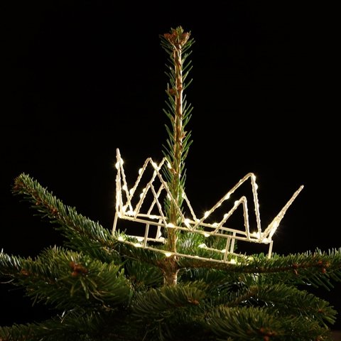 Noma 70 Warm White Kings Crown