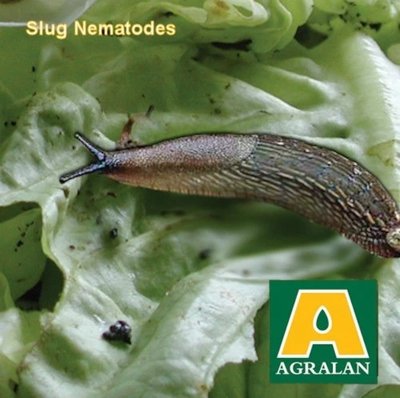 Agralan Slug Nematodes up to 40m2 (BC150)