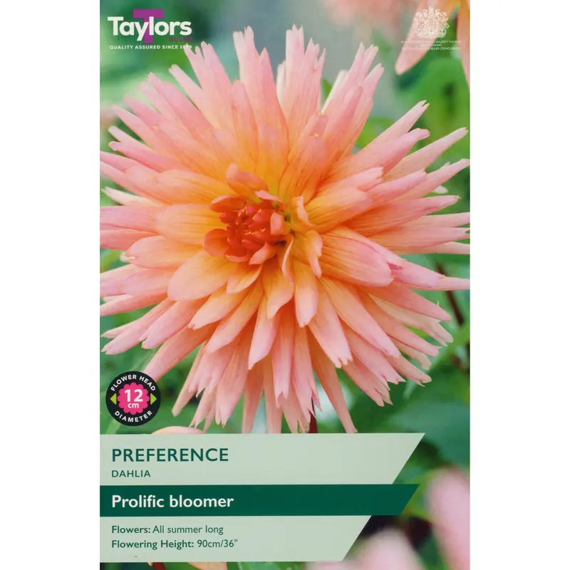 Taylors Dahlia Preference