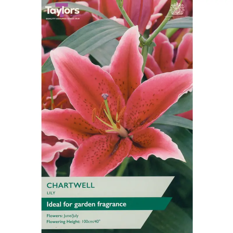 Taylors Lily Chartwell