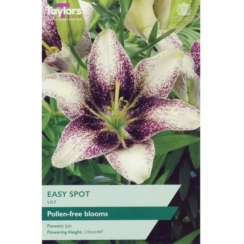 Taylors Lily Easy Spot