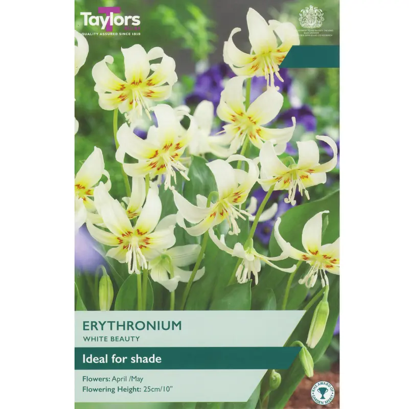 Taylors Erythronium White Beauty