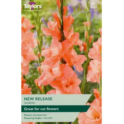 Taylors Gladioli New Release