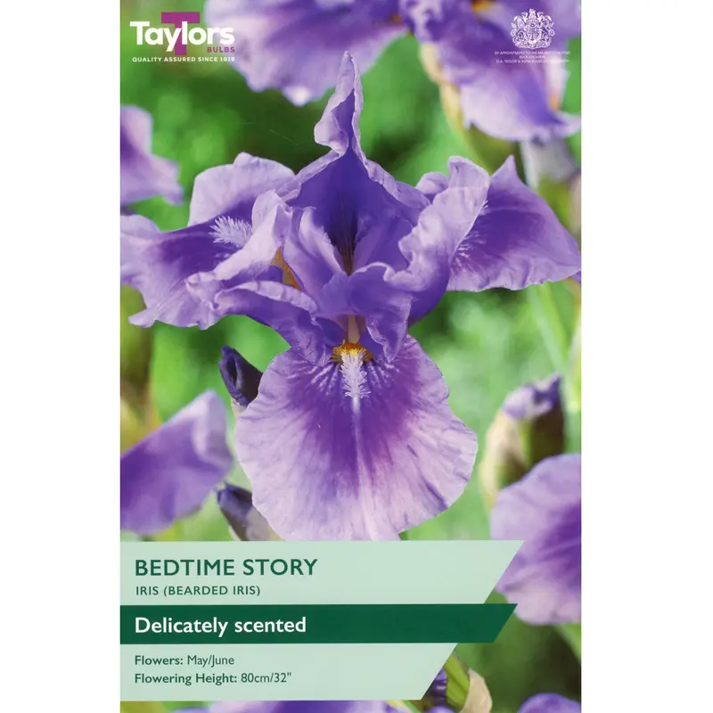 Taylors Iris Bedtime Story