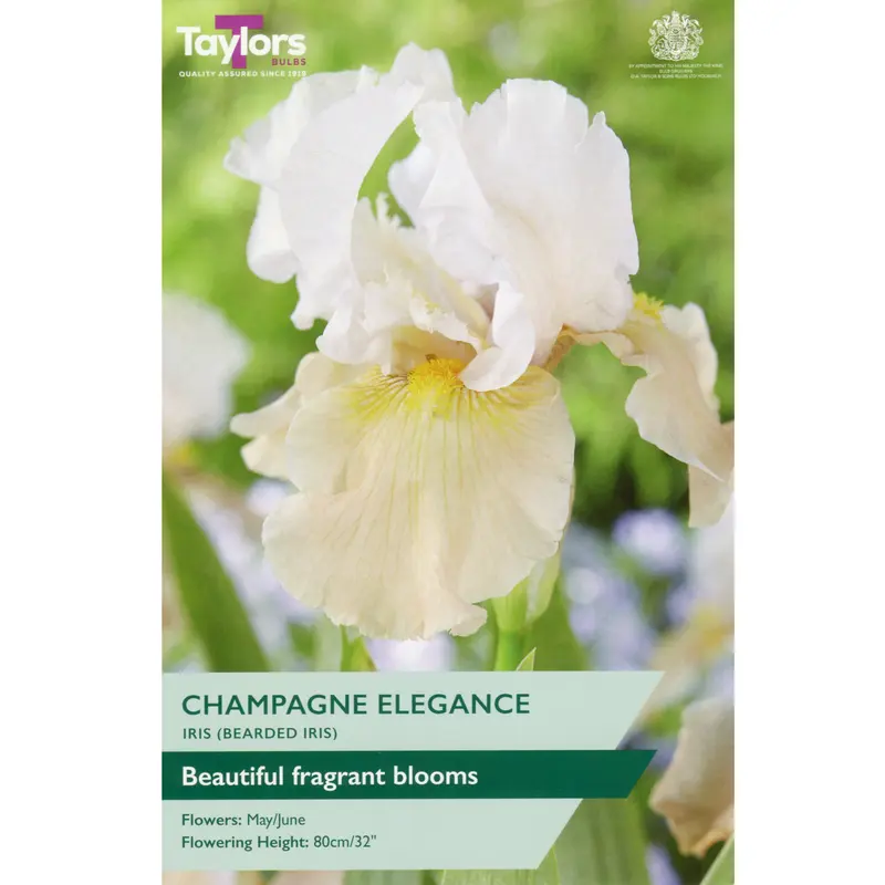 Taylors Iris Champagne Elegance