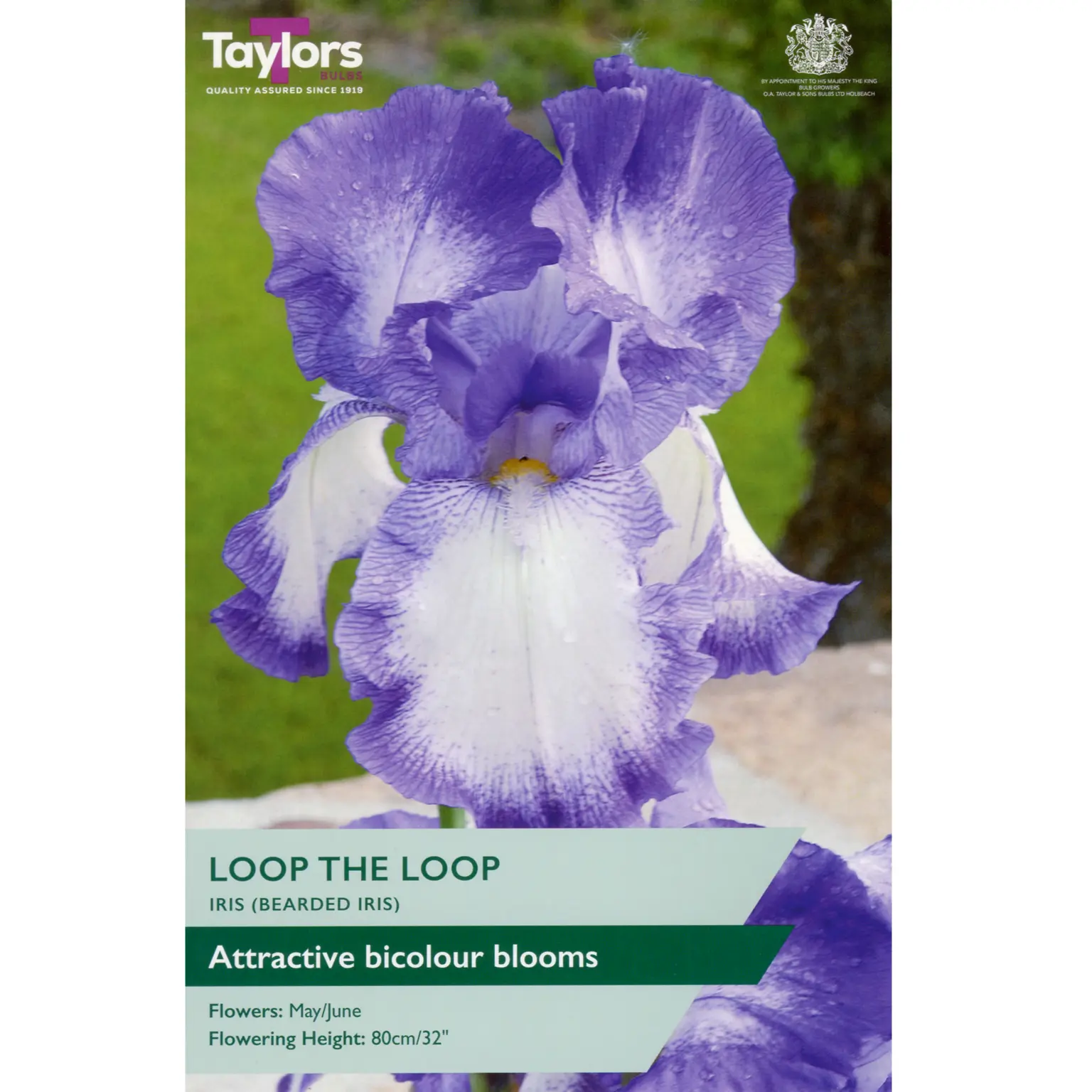 Loop Nurseries Taylors Iris Loop The Loop - Groves Nurseries & Garden Centre