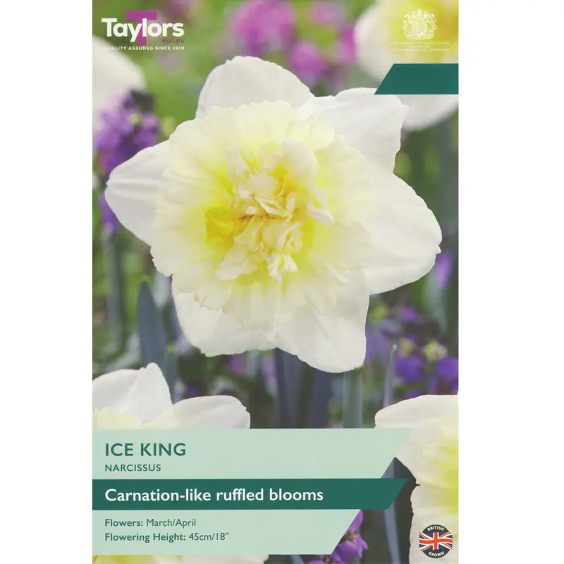 Taylors Narcissus Ice King