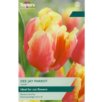 Taylors Tulip Dee Jay Parrot