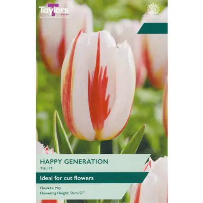 Taylors Tulip Happy Generation