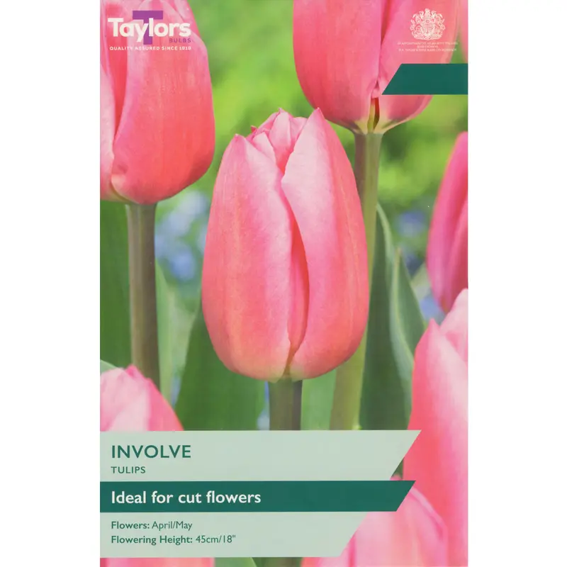 Taylors Tulip Involve