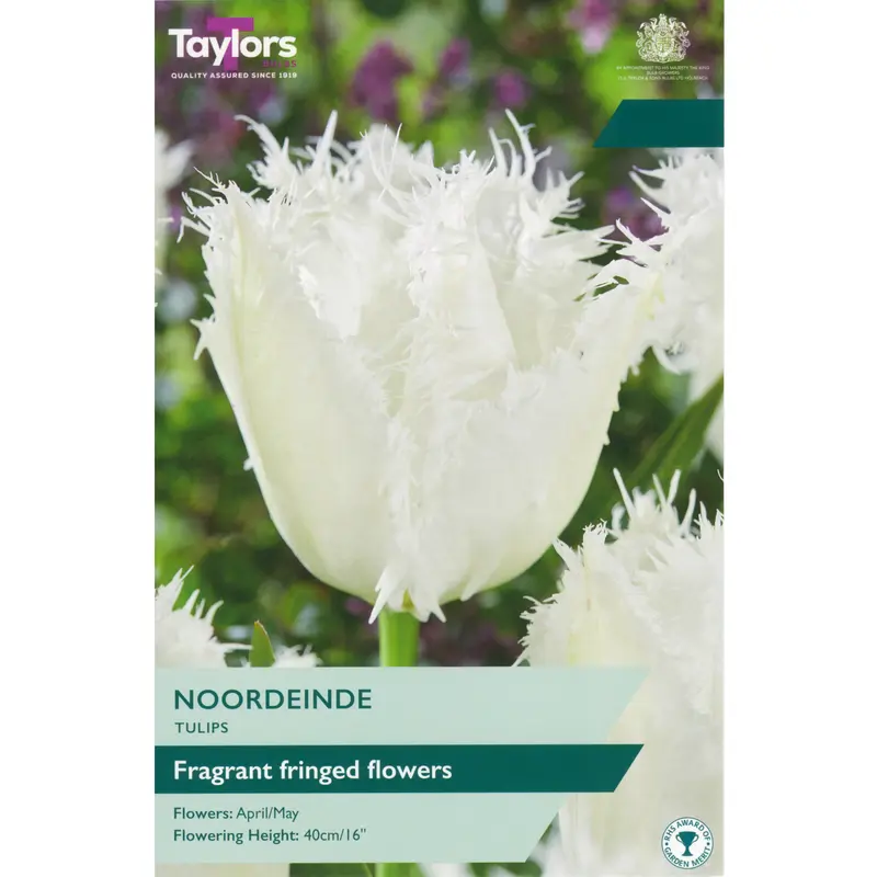 Taylors Tulip Noordeinde