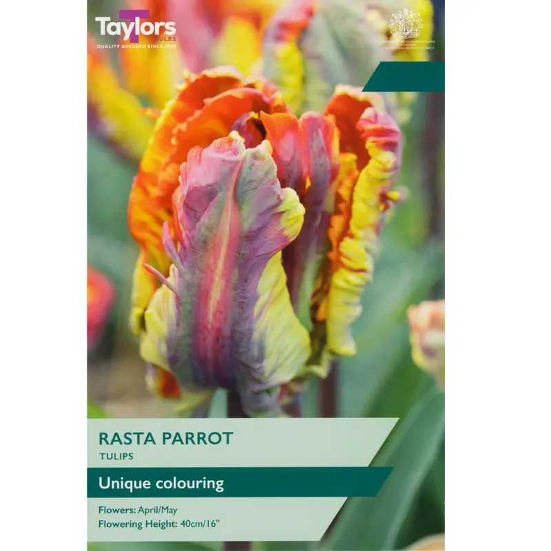 Taylors Tulip Rasta Parrot