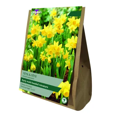 Taylors Value Bag Narcissus Tete a Tete