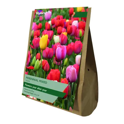 Taylors Value Bag Tulip Perennial Mixed