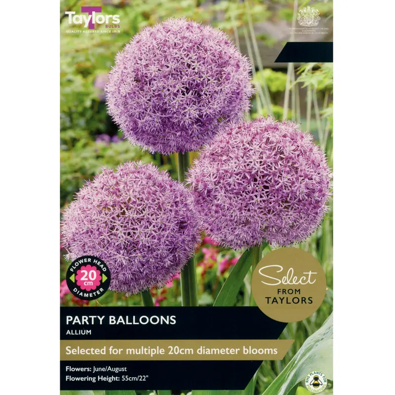 Taylors Select Allium Party Balloons
