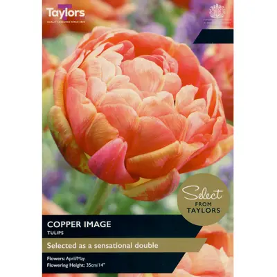 Taylors Select Tulip Copper Image