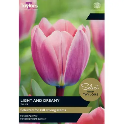 Taylors Select Tulip Light and Dreamy