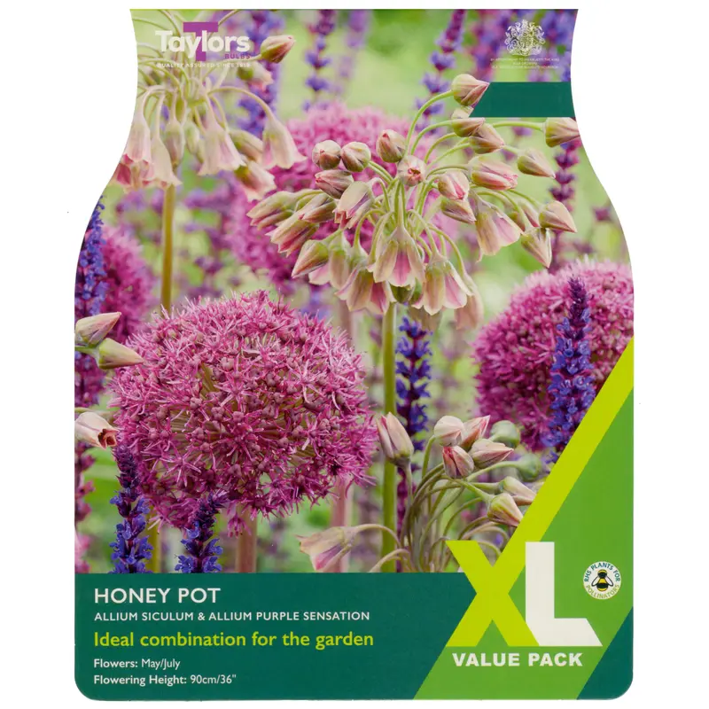 Taylors XL Allium Honey Pot Mix