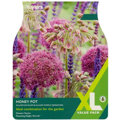 Taylors XL Allium Honey Pot Mix