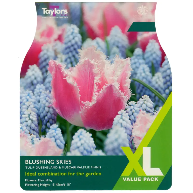Taylors XL Blushing Skies Mix