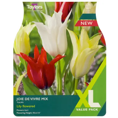 Taylors XL Tulip Joie De Vivre Mix