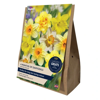 Taylors Garden Greats 4 Months Of Daffodils Collection