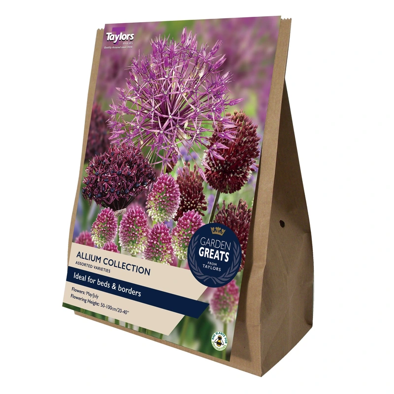 Taylors Garden Greats Allium Collection