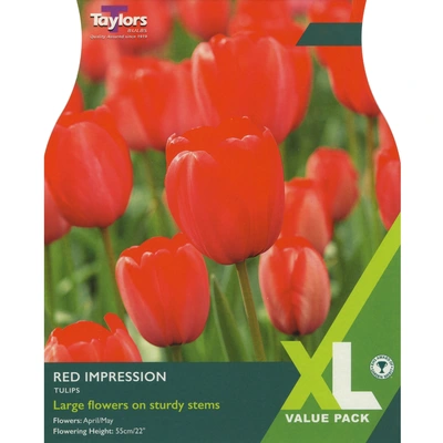 Taylors XL Tulip Red Impression
