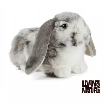 Living Nature Grey Dutch Lop Ear 30cm