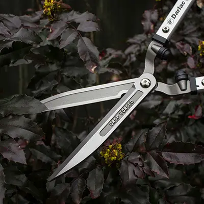 Darlac Expert Drop Forged Shears - image 2