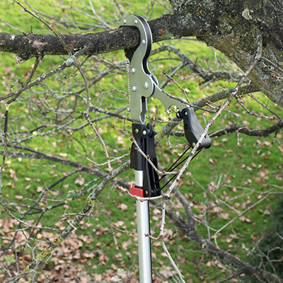 Darlac Expert Geared Anvil Tree Pruner - image 2