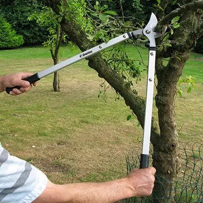 Darlac Expert Bypass Lopper - image 2