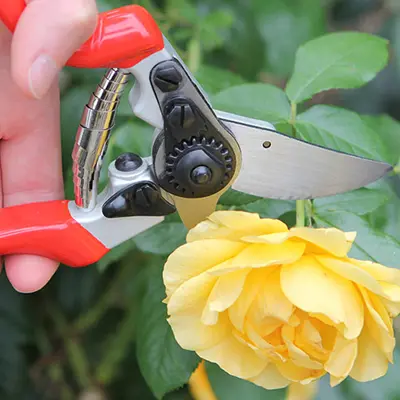 Darlac Expert Left Hand Pruner - image 2