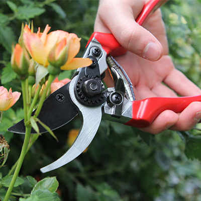 Darlac Professional Pruner - image 2