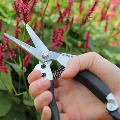 Darlac Compact Shears - image 2