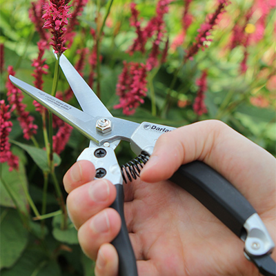 Darlac Compact Shears - image 2