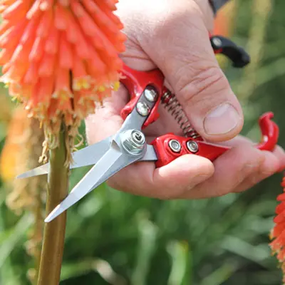 Darlac Ergo Snips - image 2