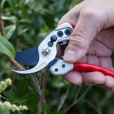 Darlac Expert Small Bypass Pruner - image 3