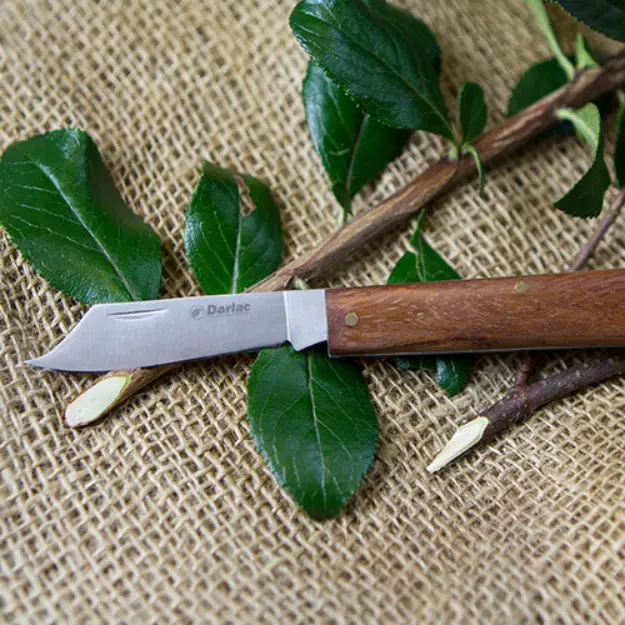 Darlac Grafting & Budding Knife - image 2