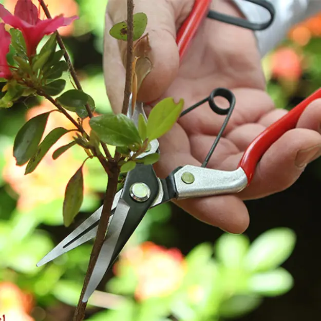 Darlac Vine Scissors - image 2