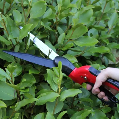 Darlac Swivel Shears - image 2