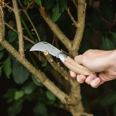 Kent & Stowe Pruning Knife - image 3