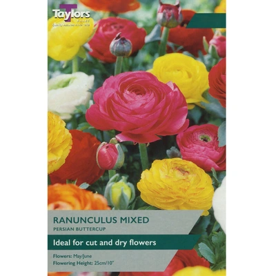 Taylors Ranunculus Mixed