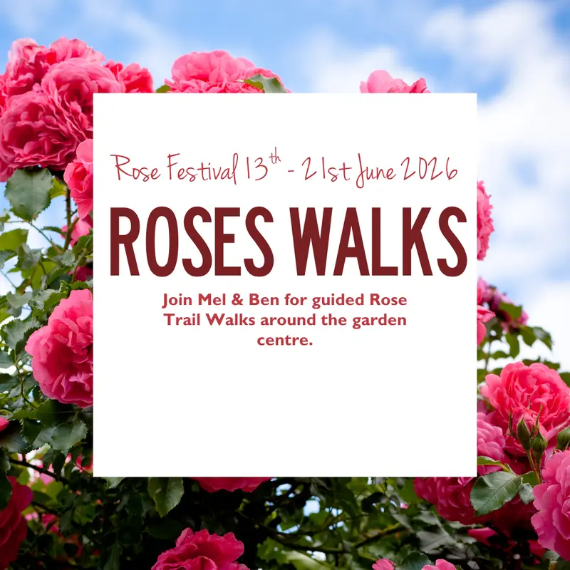 Rose Walks 13 & 18 Jun